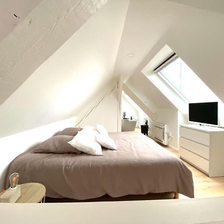 La Cle Des Toits Apartment Colmar Bagian luar foto