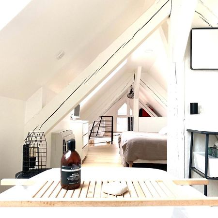 La Cle Des Toits Apartment Colmar Bagian luar foto