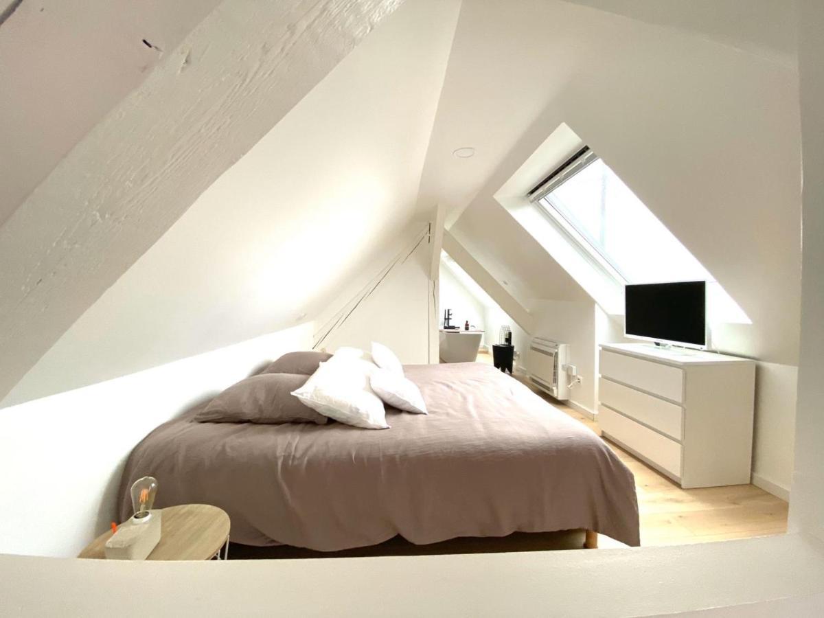La Cle Des Toits Apartment Colmar Bagian luar foto