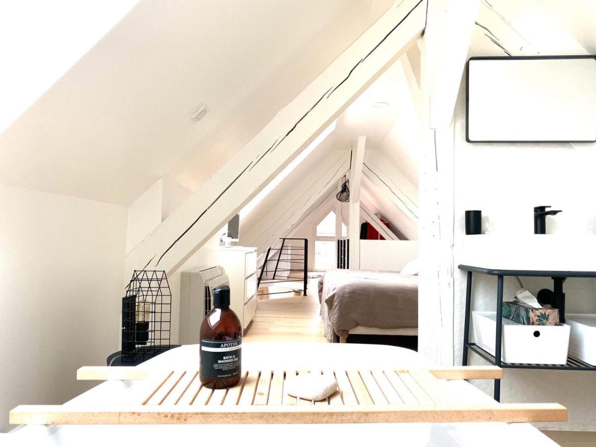 La Cle Des Toits Apartment Colmar Bagian luar foto